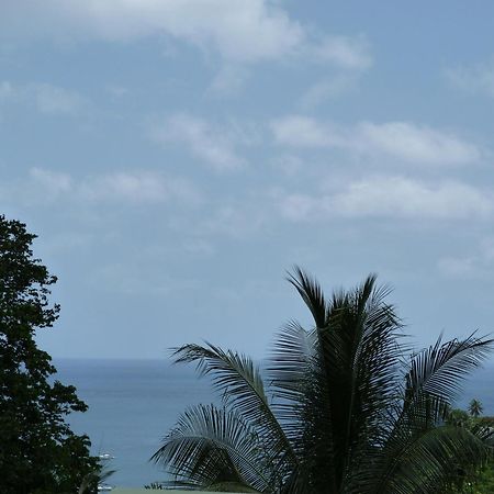 Les Hauts De Deshaies Bagian luar foto