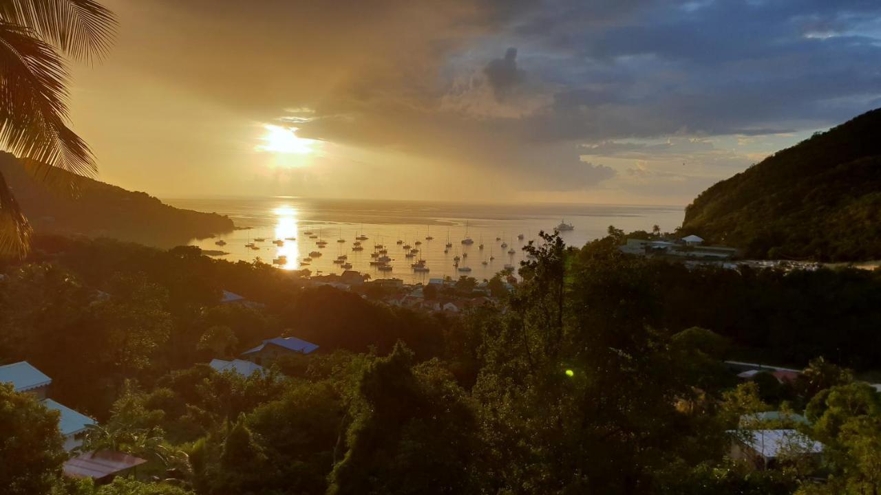 Les Hauts De Deshaies Bagian luar foto