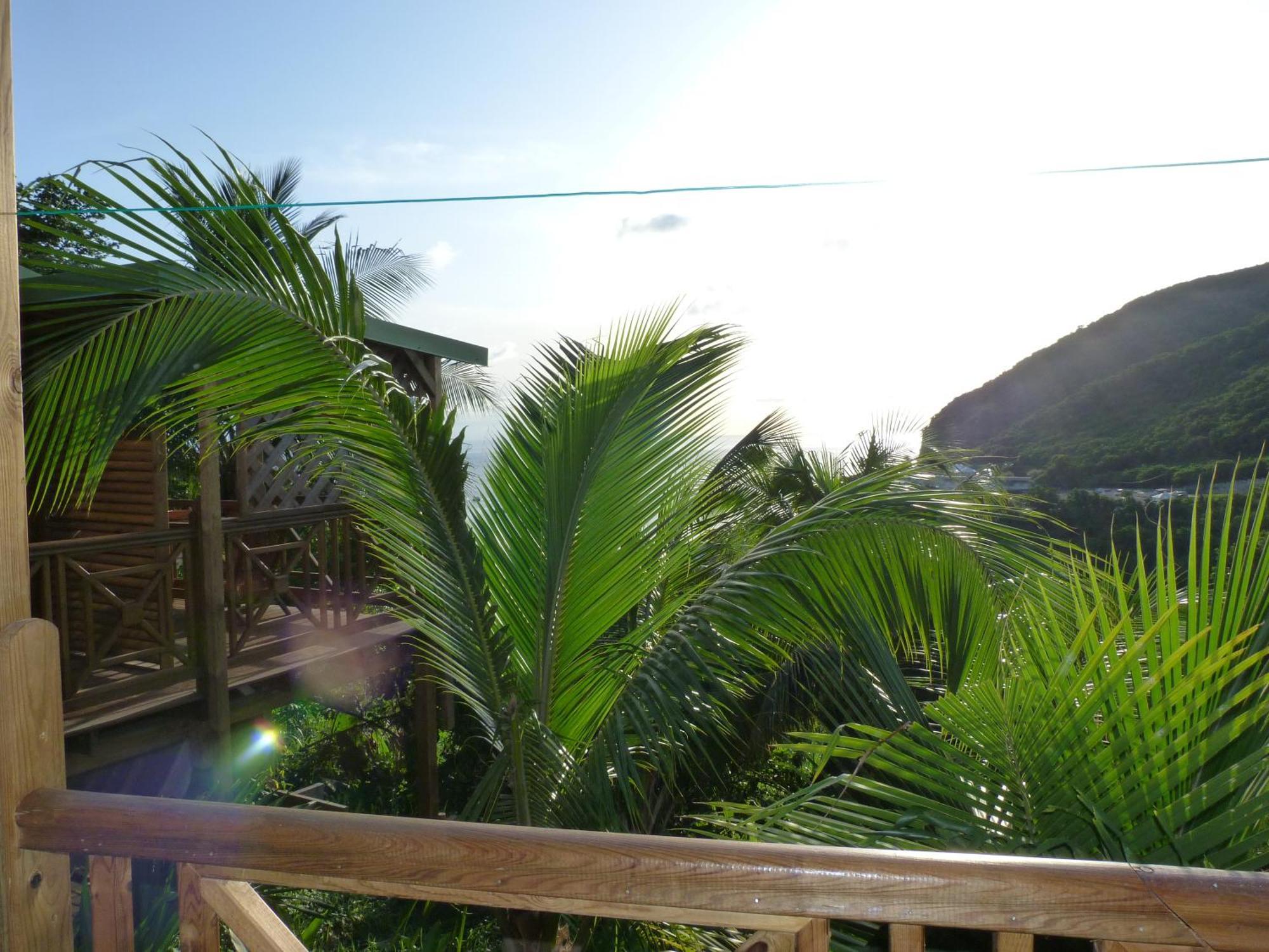 Les Hauts De Deshaies Bagian luar foto