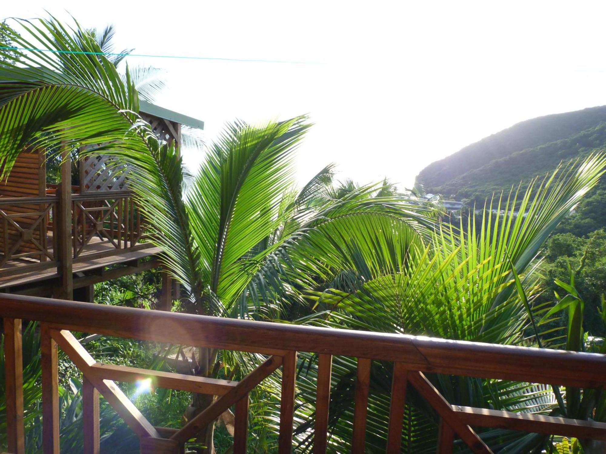 Les Hauts De Deshaies Bagian luar foto