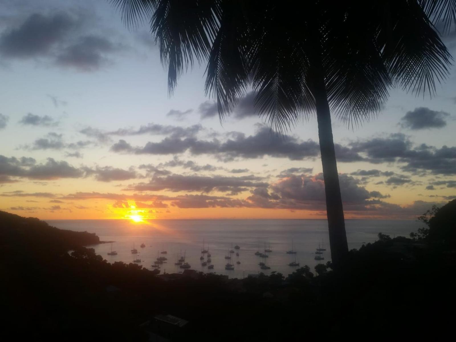 Les Hauts De Deshaies Bagian luar foto